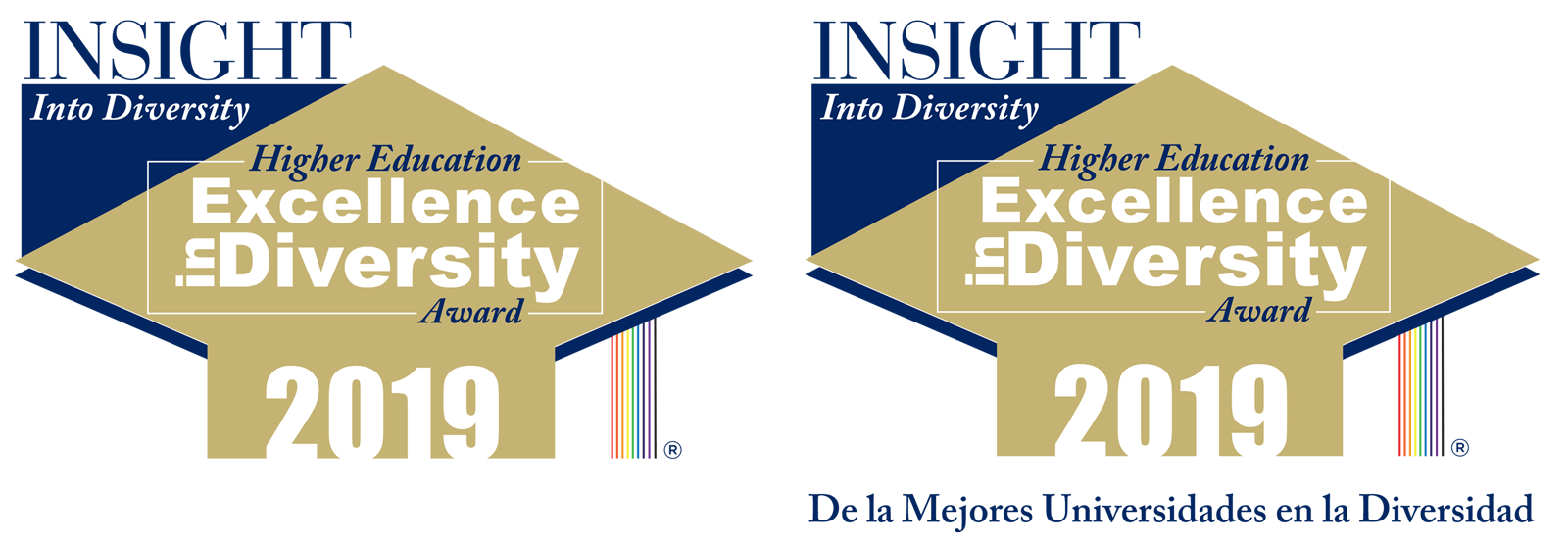 Insight into Diversity award badges